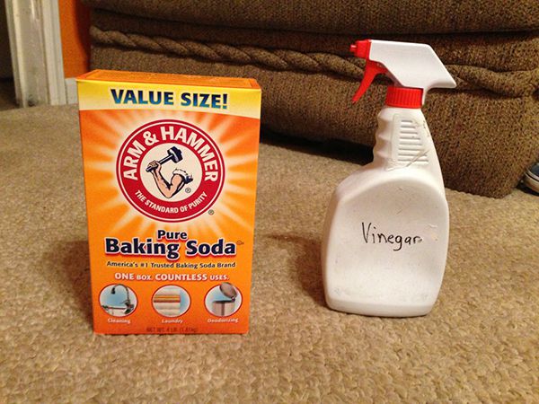 Sử dụng baking soda để khử mùi hôi trên thảm trải sàn.