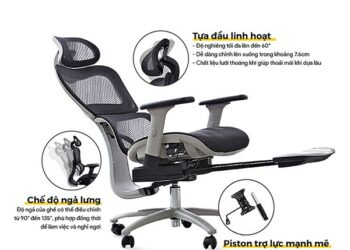 Ghế Công Thái Học Là Gì? Ưu Nhược Điểm Của Ghế Công Thái Học