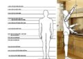 Nhân Trắc Học Trong Thiết Kế Nội Thất Ứng Dụng Như Thế Nào?