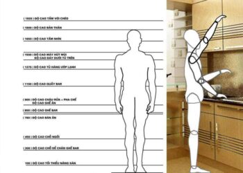 Nhân Trắc Học Trong Thiết Kế Nội Thất Ứng Dụng Như Thế Nào?