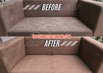 Ghế Sofa Bị Mốc Nên Xử Lý Thế Nào Hiệu Quả?
