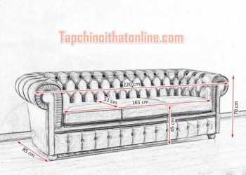 Kích Thước Sofa Cổ Điển Chuẩn Nên Chọn Thế Nào?