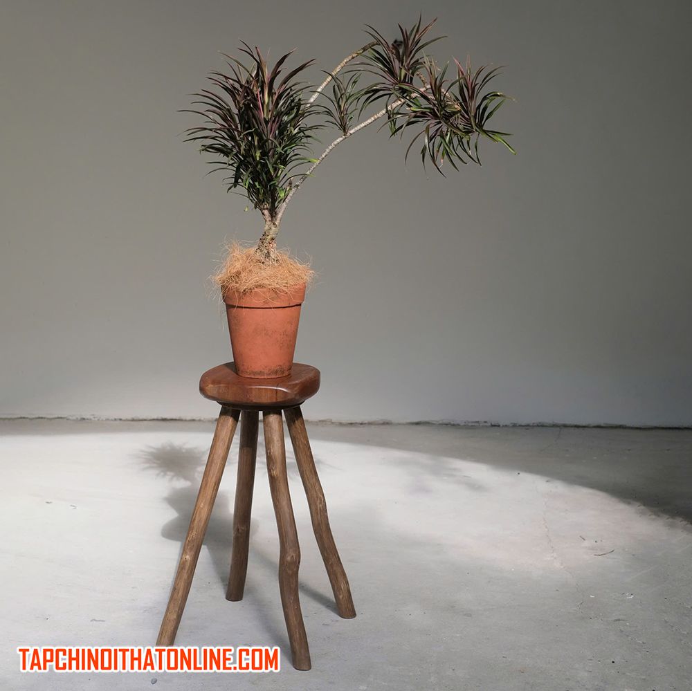 Công dụng của ghế đẩu trong trang trí nội thất